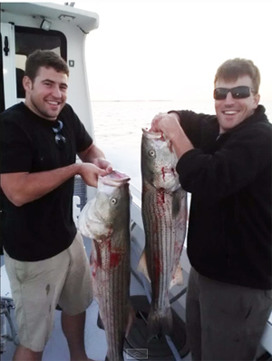 Montauk Stripers