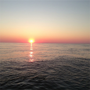 blackfish fishing montauk sunrise